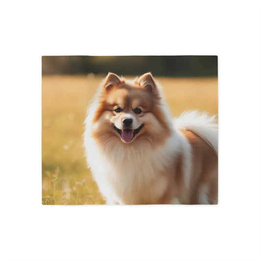 Keeshond Sweatshirt Blanket