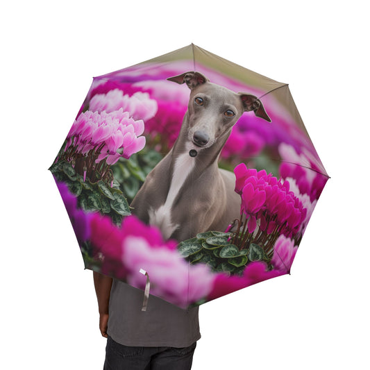 Italian Greyhound Semi-Automatic Foldable Umbrella