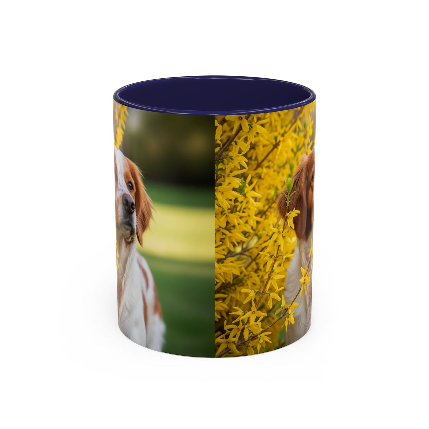 Brittany Dog Accent Coffee Mug - Perfect Gift for Dog Lovers