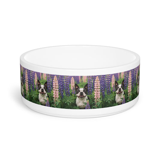 Boston Terrier Pet Bowl