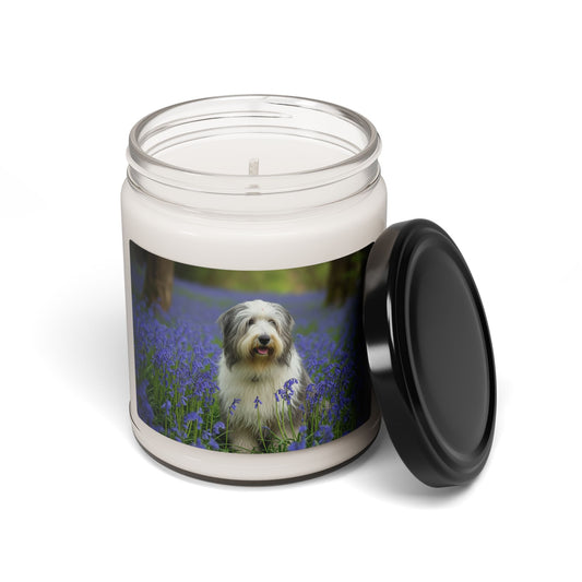 Bearded Collie- Scented Soy Candle, 9oz
