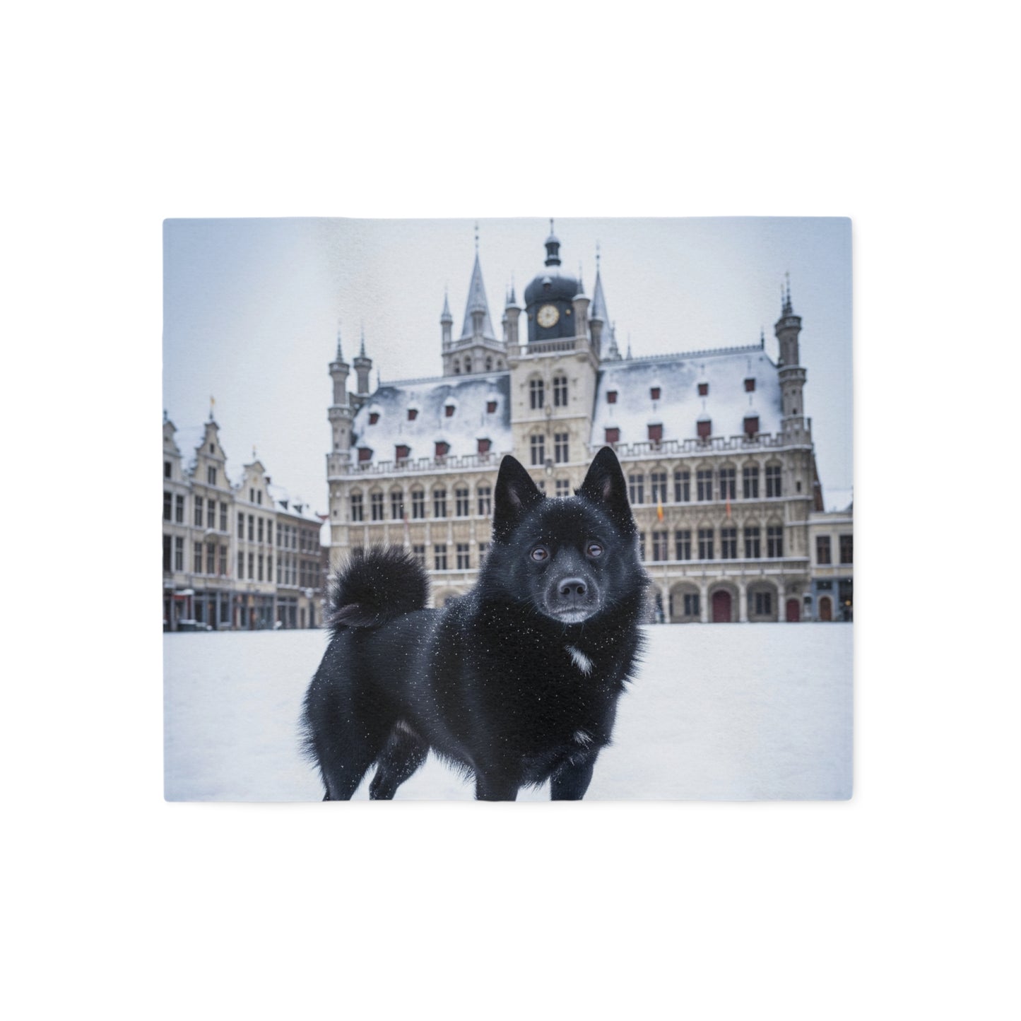 Schipperke Blanket
