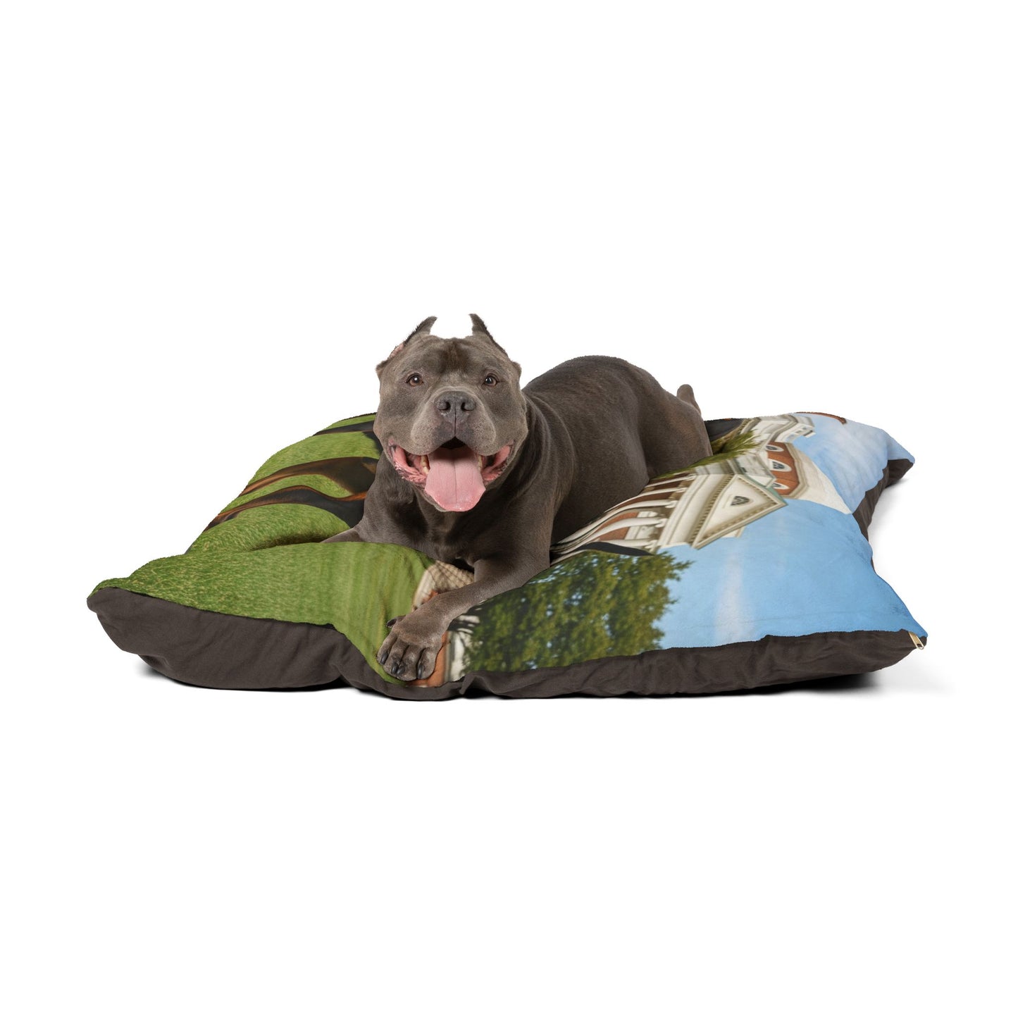 Black and Tan Coonhound Pet Bed