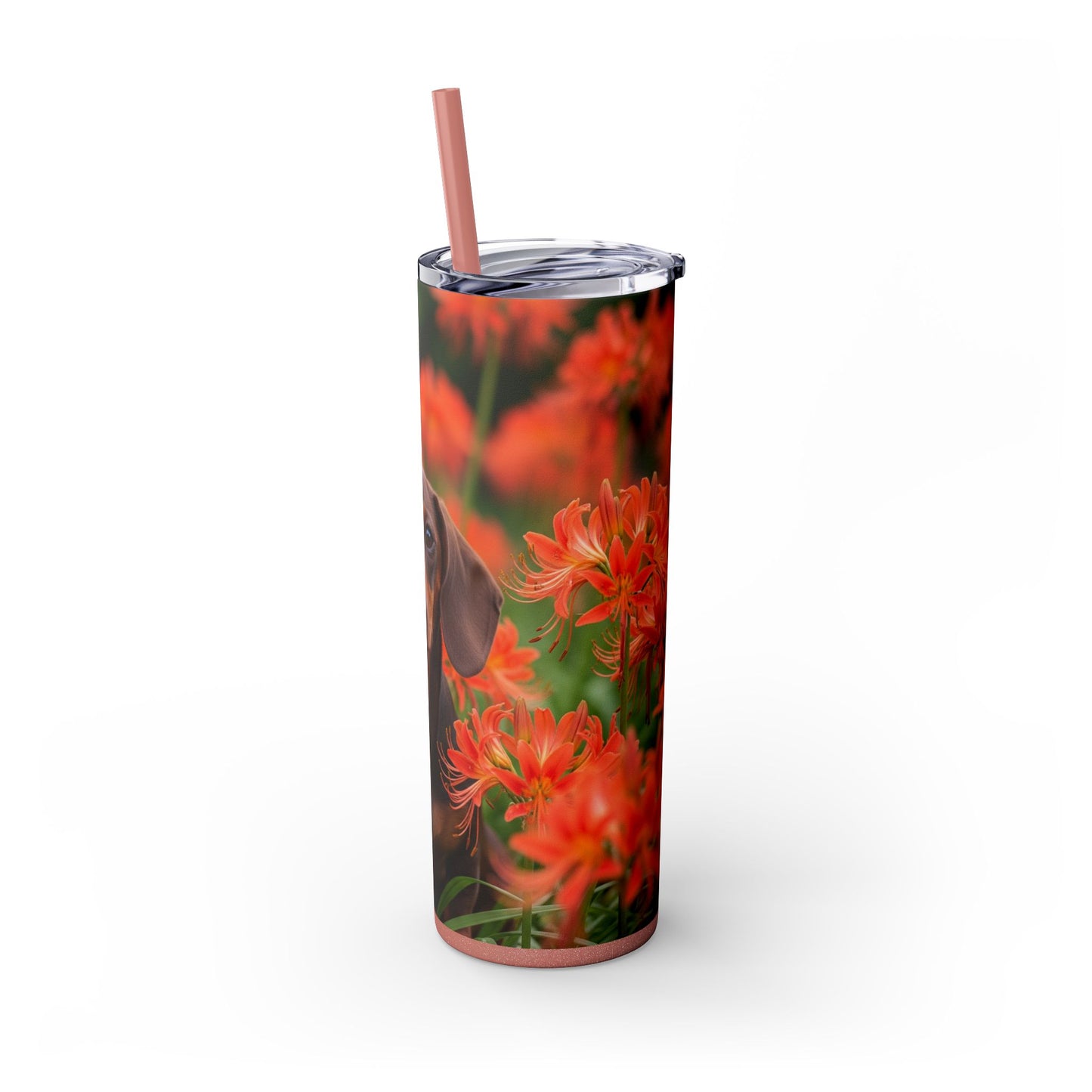 Gobelet isotherme Teckel avec paille, 590 ml