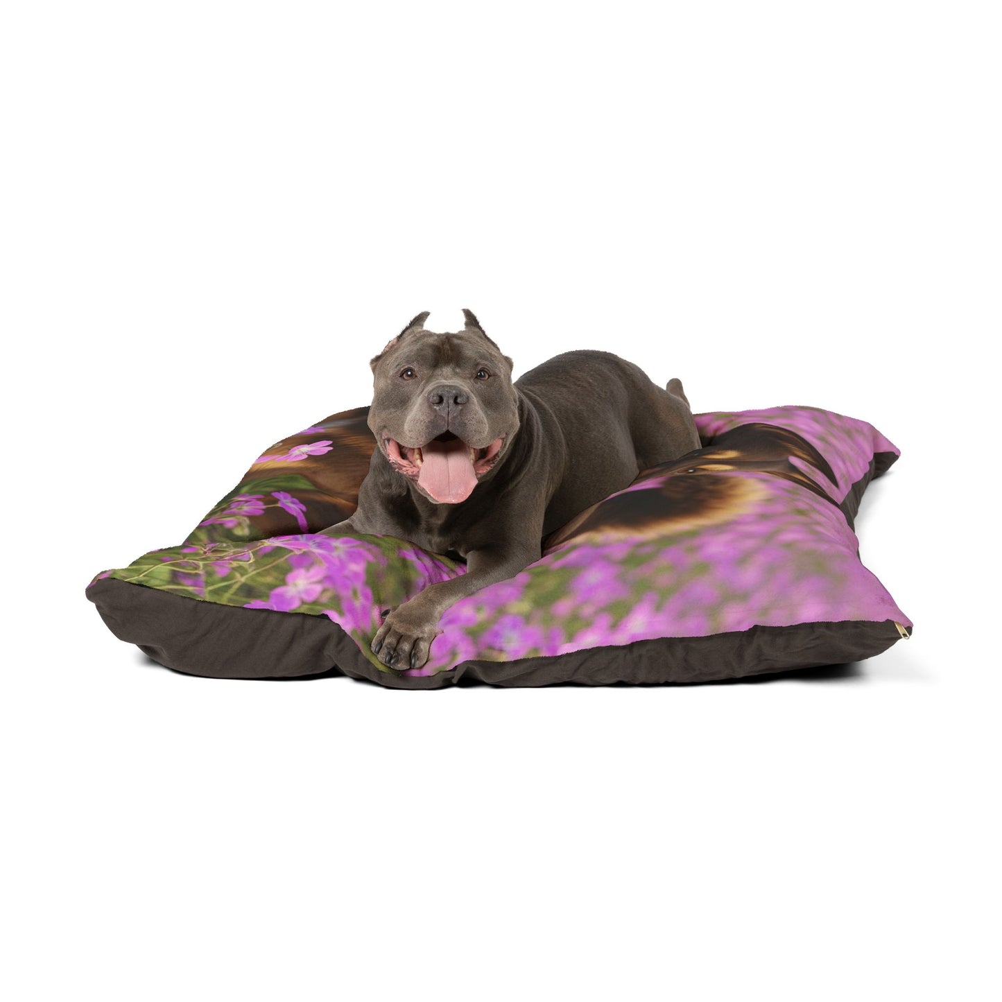 Cadabomb Okami Pet Bed