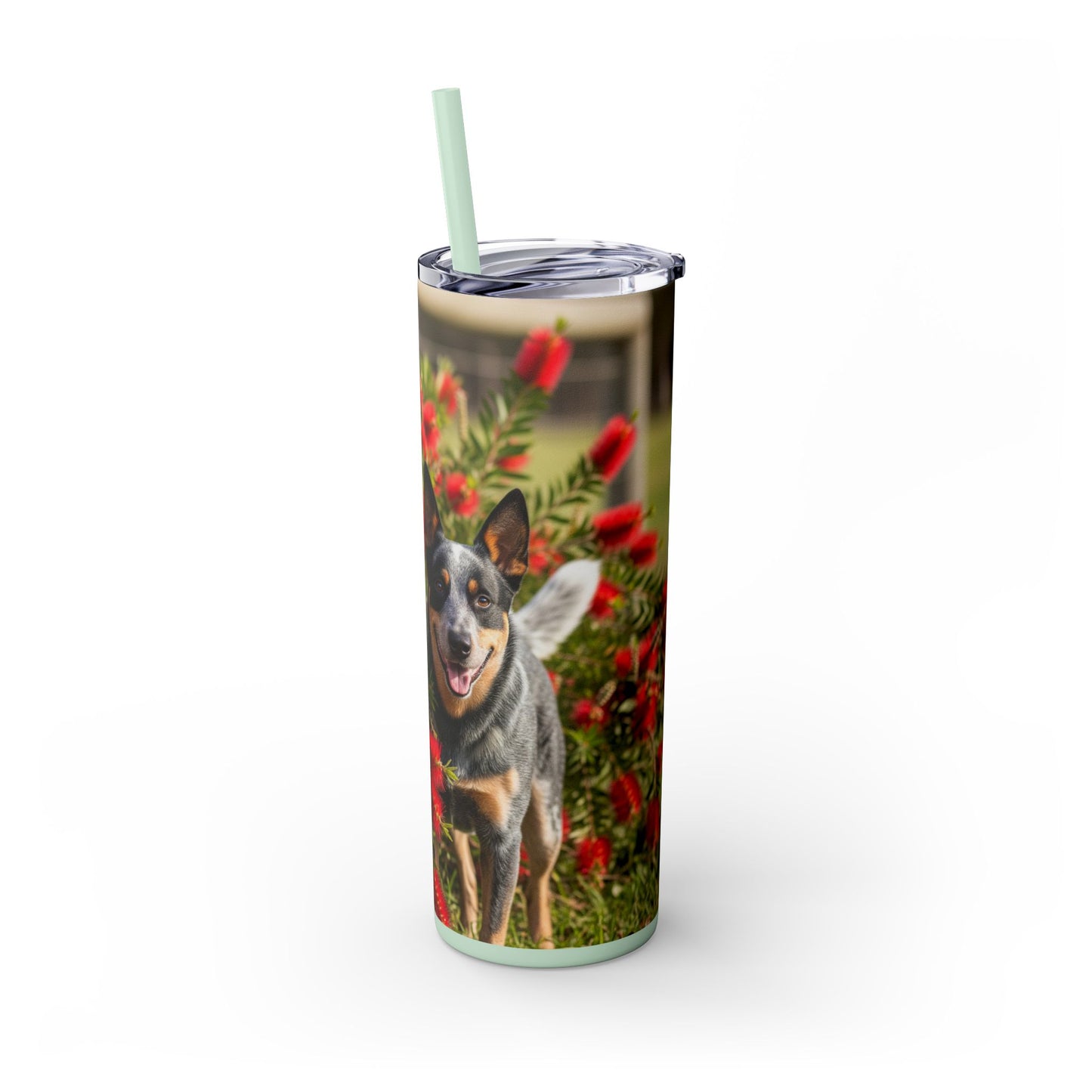 Australian Cattle Dog Skinny Tumbler with Straw, 20oz