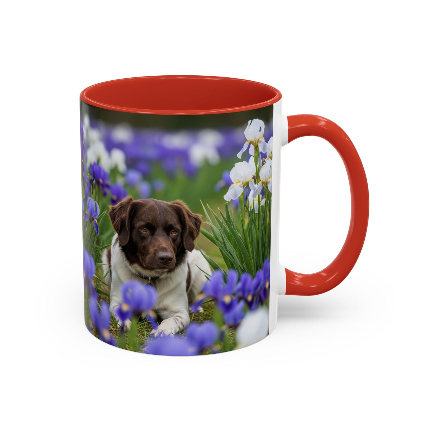 Mug Stabyhouns Accent - Cadeau idéal pour les amoureux des chiens