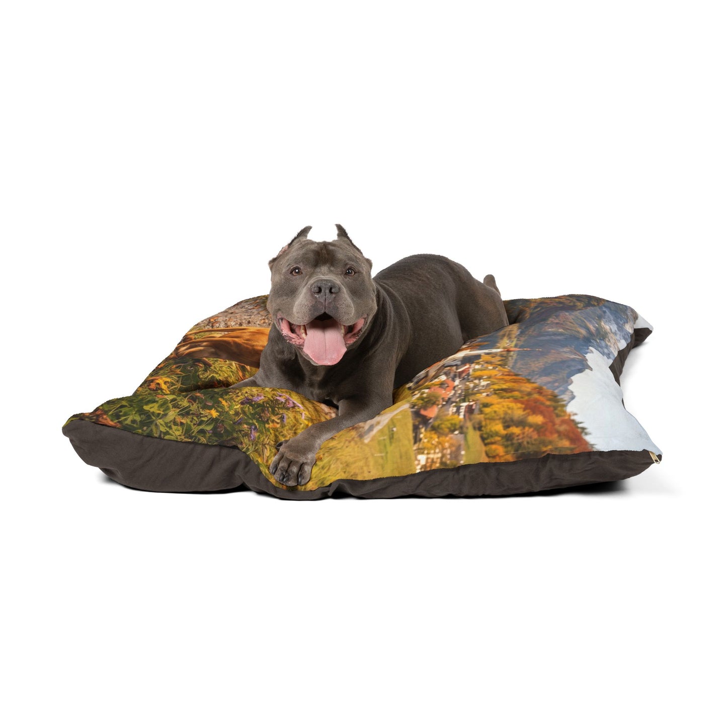 Austrian Pinscher Pet Bed