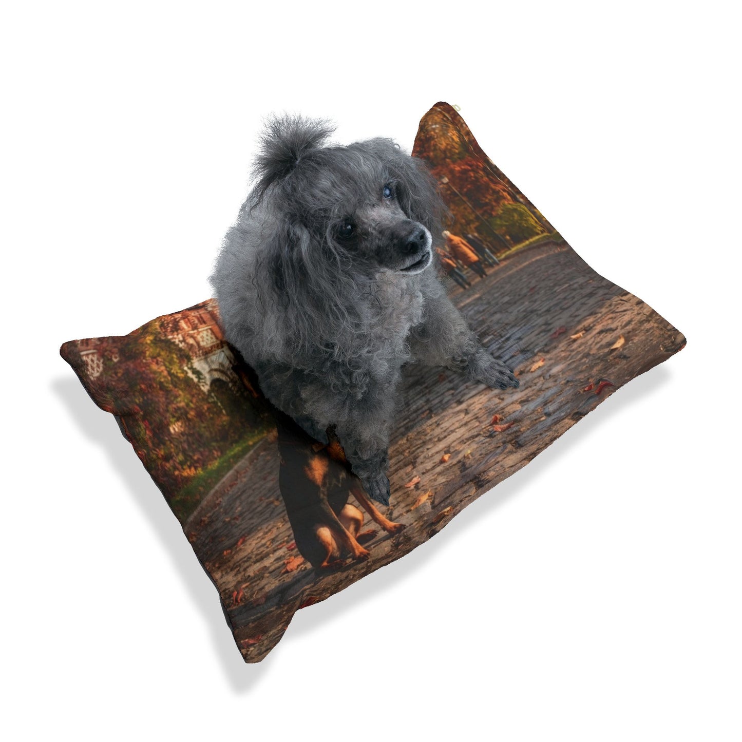 Russian Toy Pet Bed
