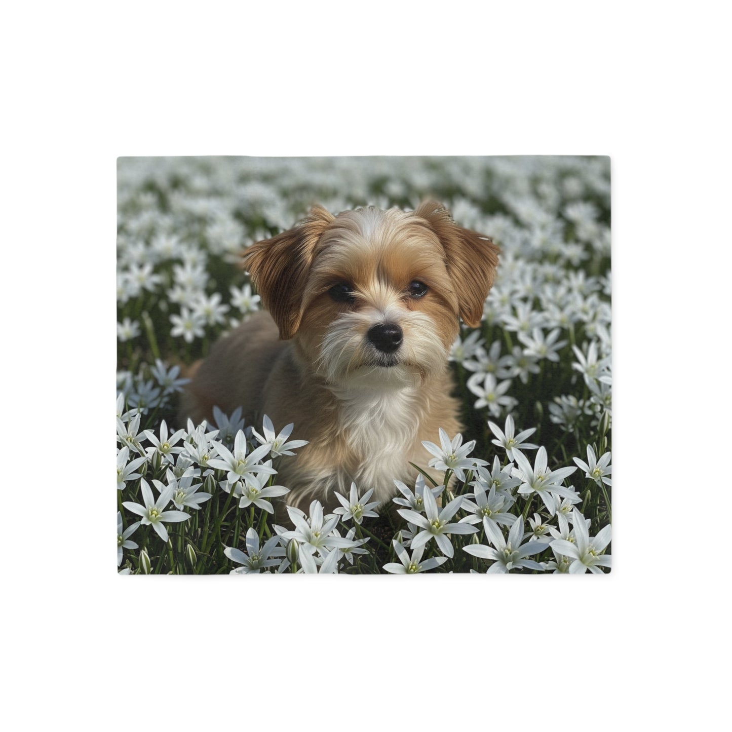 Couverture en sweat-shirt Morkie