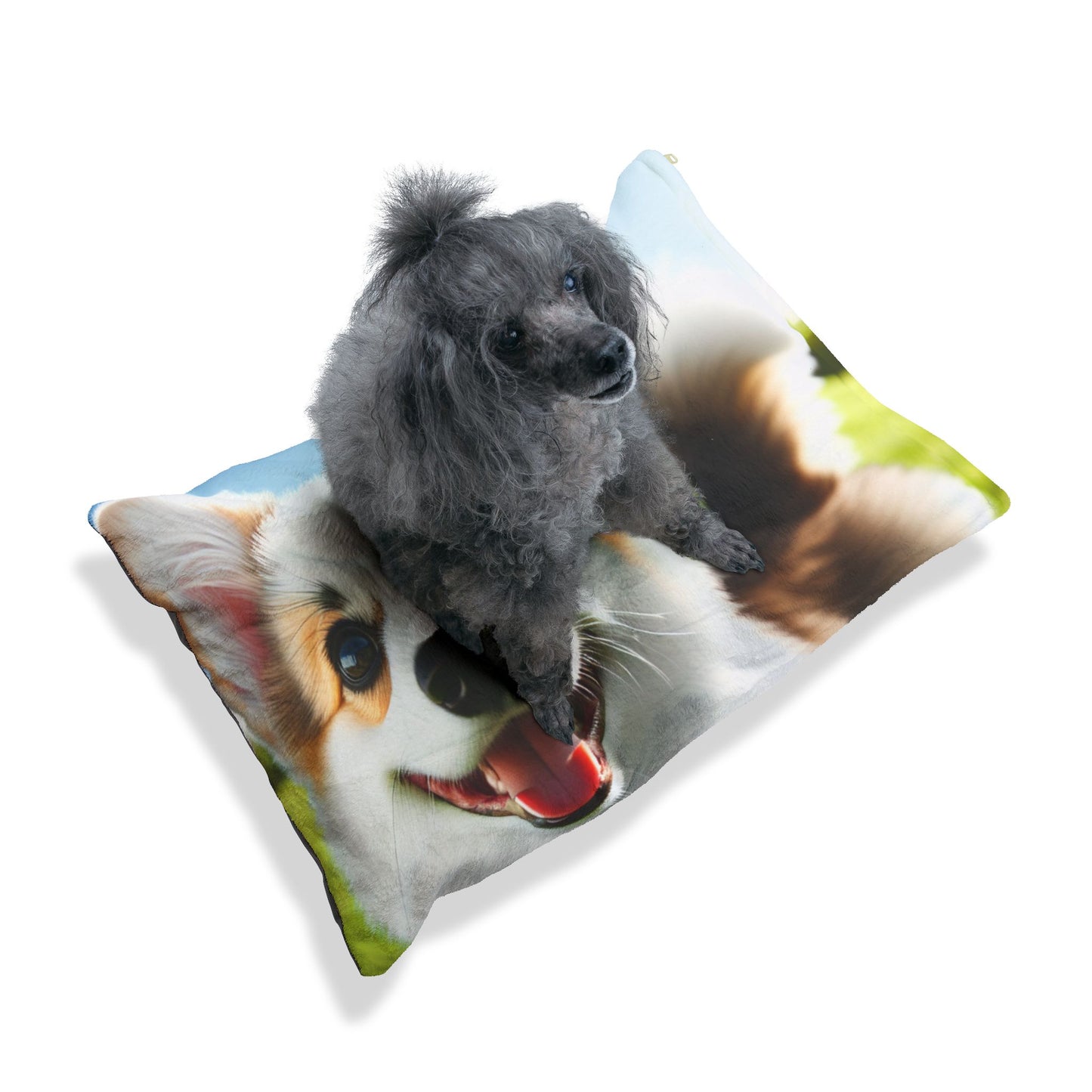 Welsh Corgi Cardigan Pet Bed