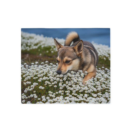 Norwegian Lundehund Sweatshirt Blanket