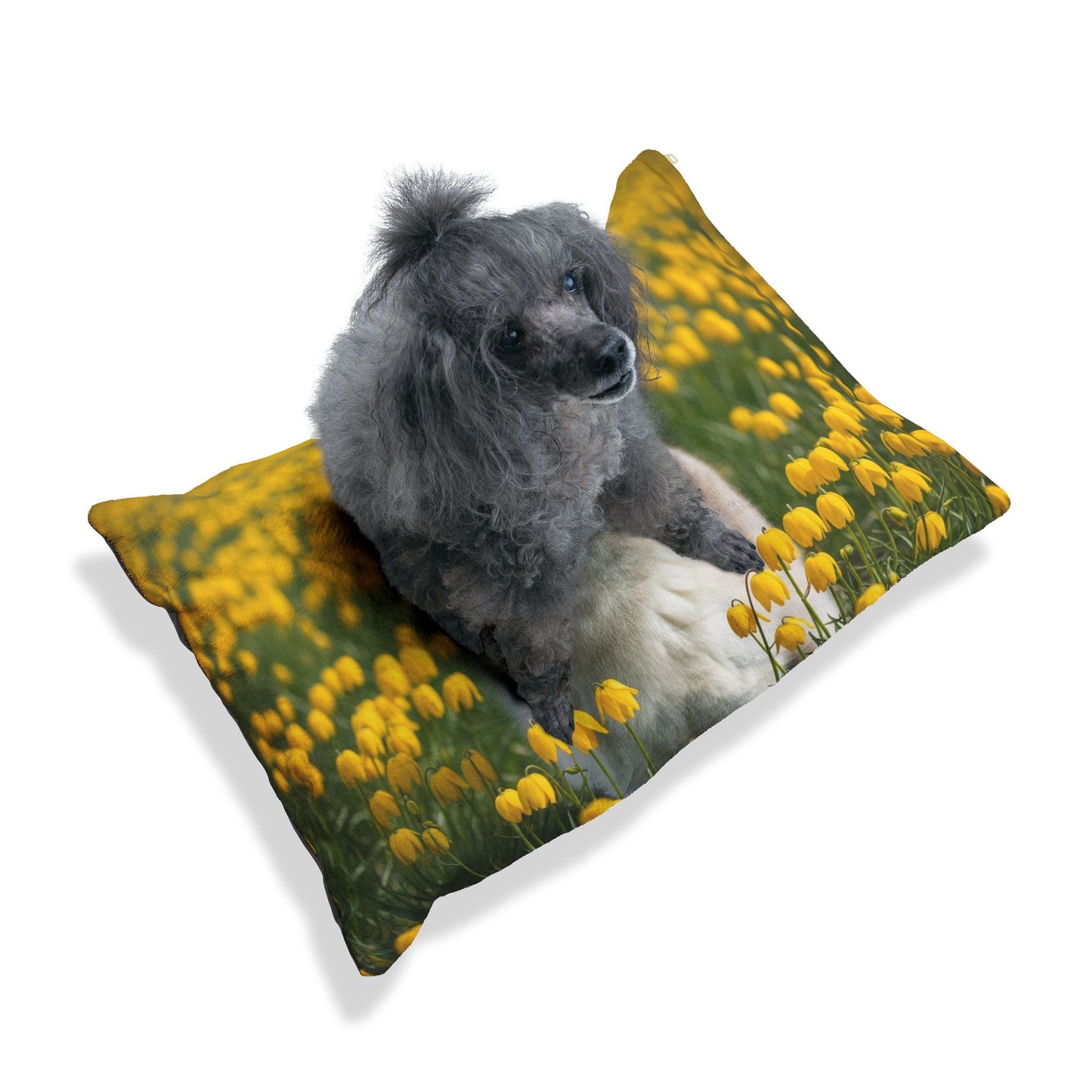 Siberian Husky Pet Bed