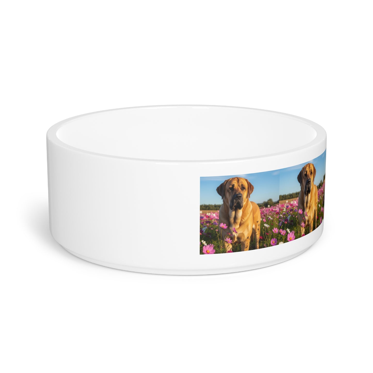 Ceramic Pet Bowl – 16 oz Dog Feeding Bowl