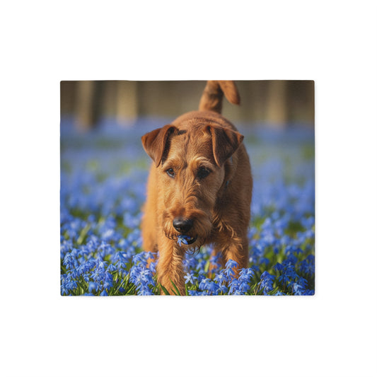 Irish Terrier Sweatshirt Blanket
