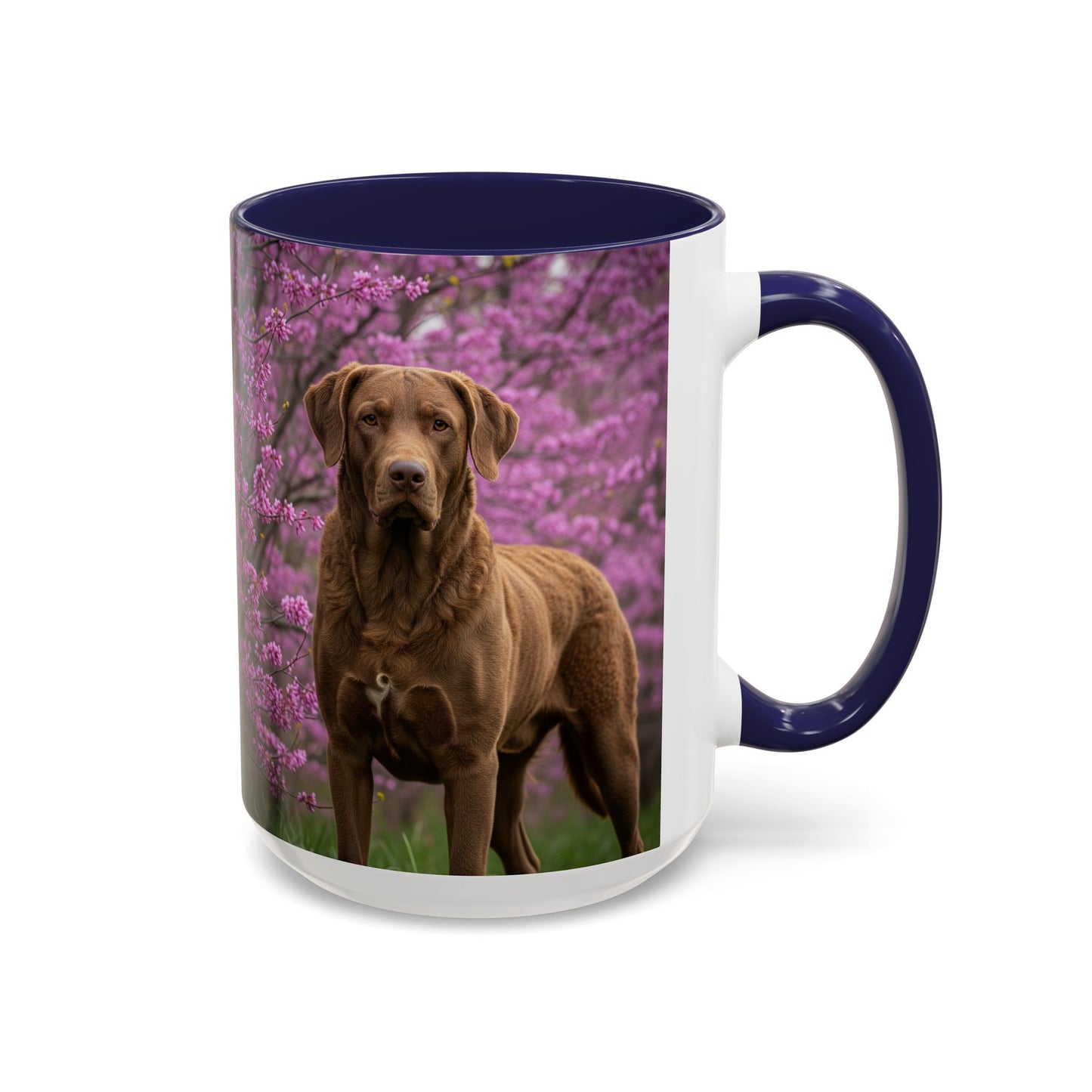 Chesapeake Bay Retriever Accent Coffee Mug - Perfect Gift for Dog Lovers