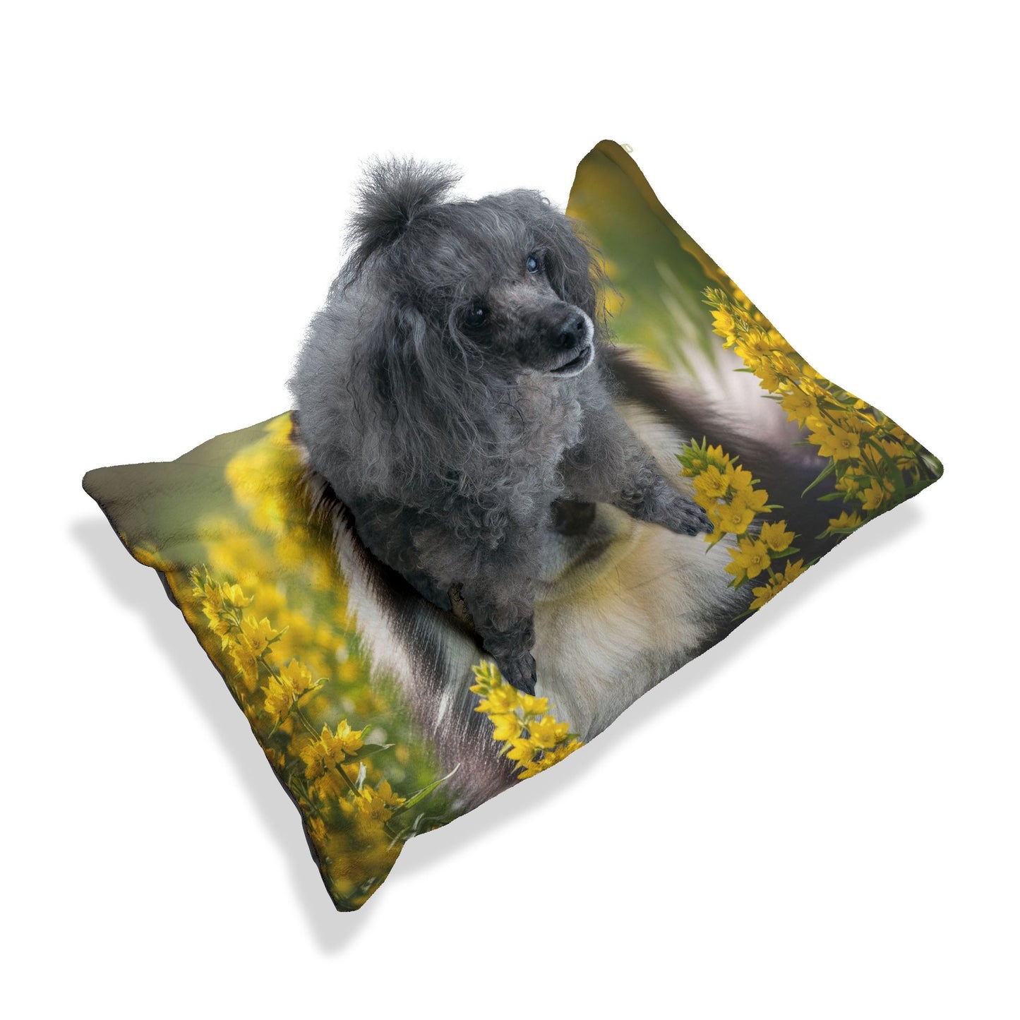 Cama para mascotas para perro lapón sueco