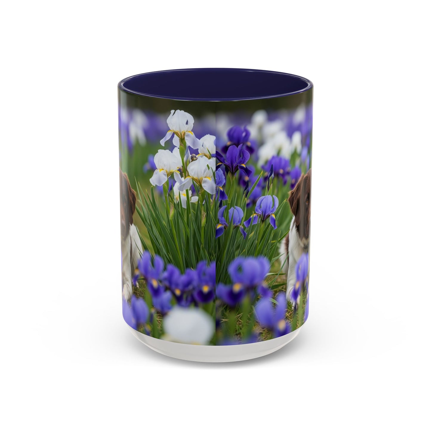 Mug Stabyhouns Accent - Cadeau idéal pour les amoureux des chiens