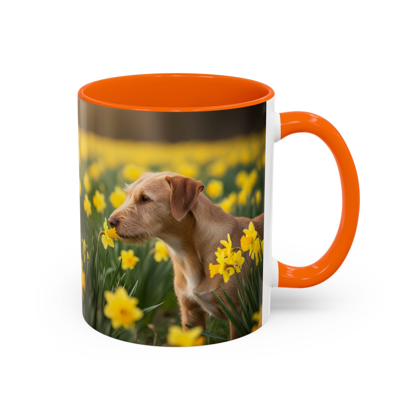 Mug à café avec motif Podengo Pequeno portugais - Cadeau idéal pour les amoureux des chiens