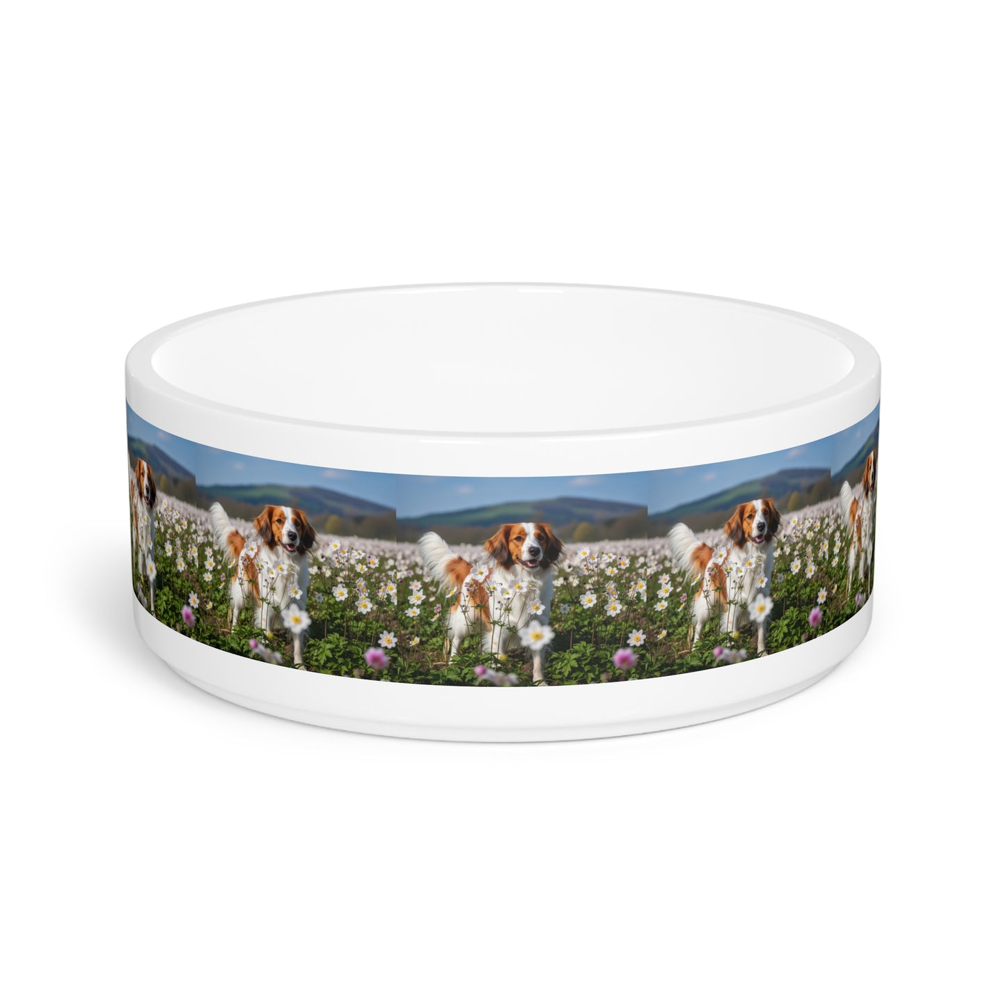Nederlandse Kooikerhondje Gamelle pour animaux de compagnie