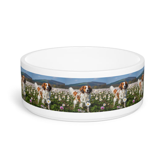 Cuenco para mascotas Nederlandse Kooikerhondje