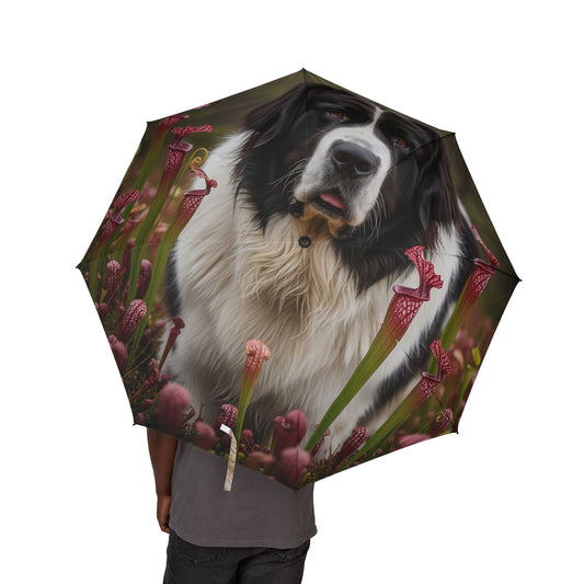 Landseer Semi-Automatic Foldable Umbrella