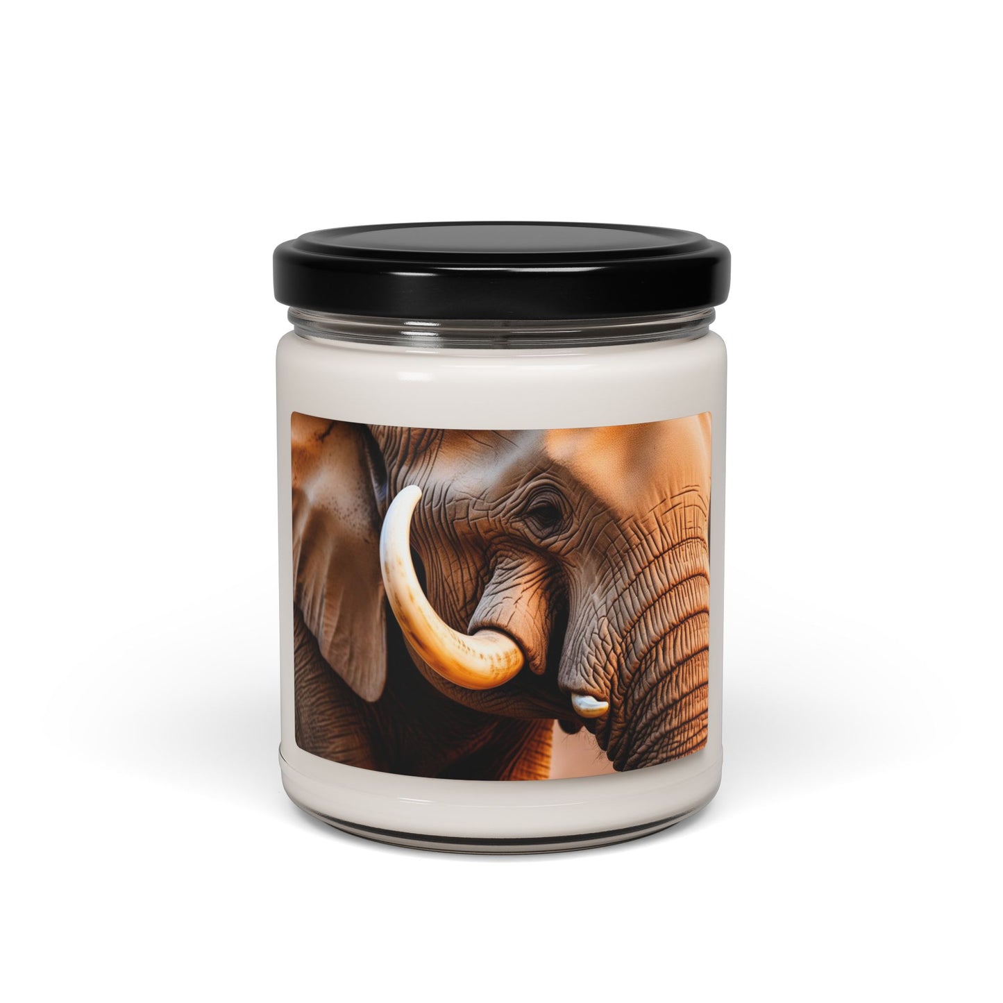 Close Up of an Elephant's Tusk- Scented Soy Candle, 9oz