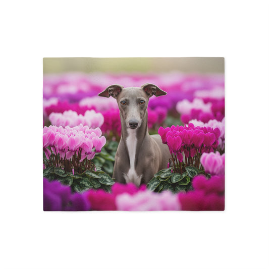 Italian Greyhound Sweatshirt Blanket