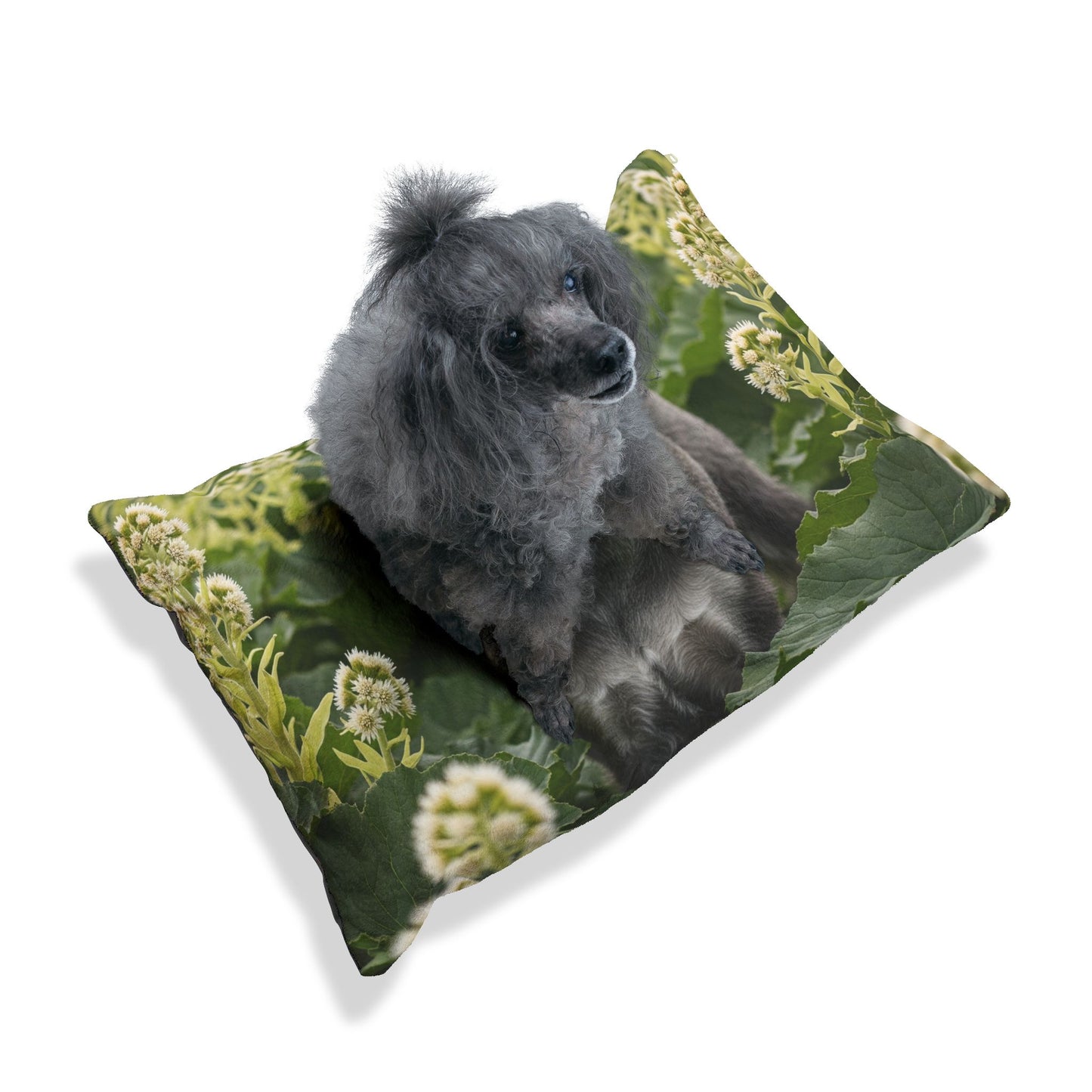 Cama para mascotas Schnauzer estándar