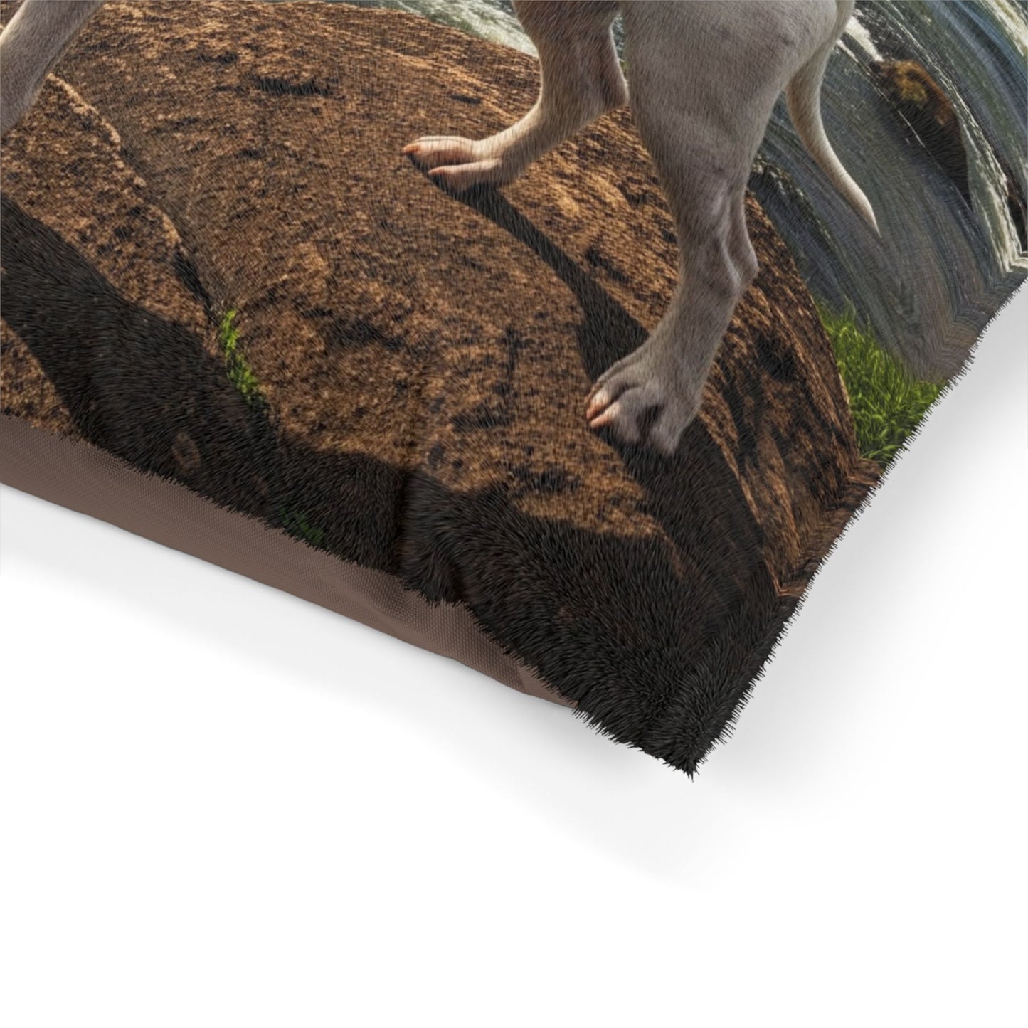 Dogo Argentino Pet Bed