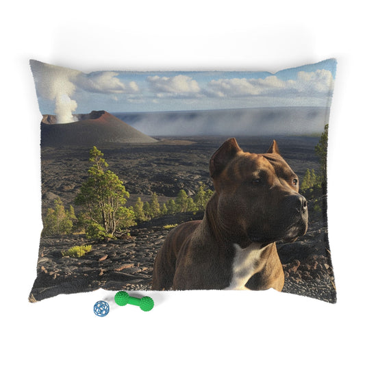 Pit Bull Pet Bed