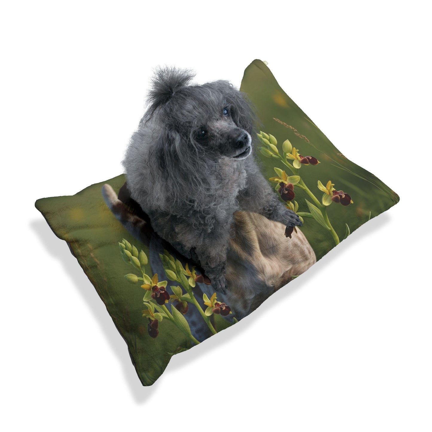 Slovensky Kopov Pet Bed