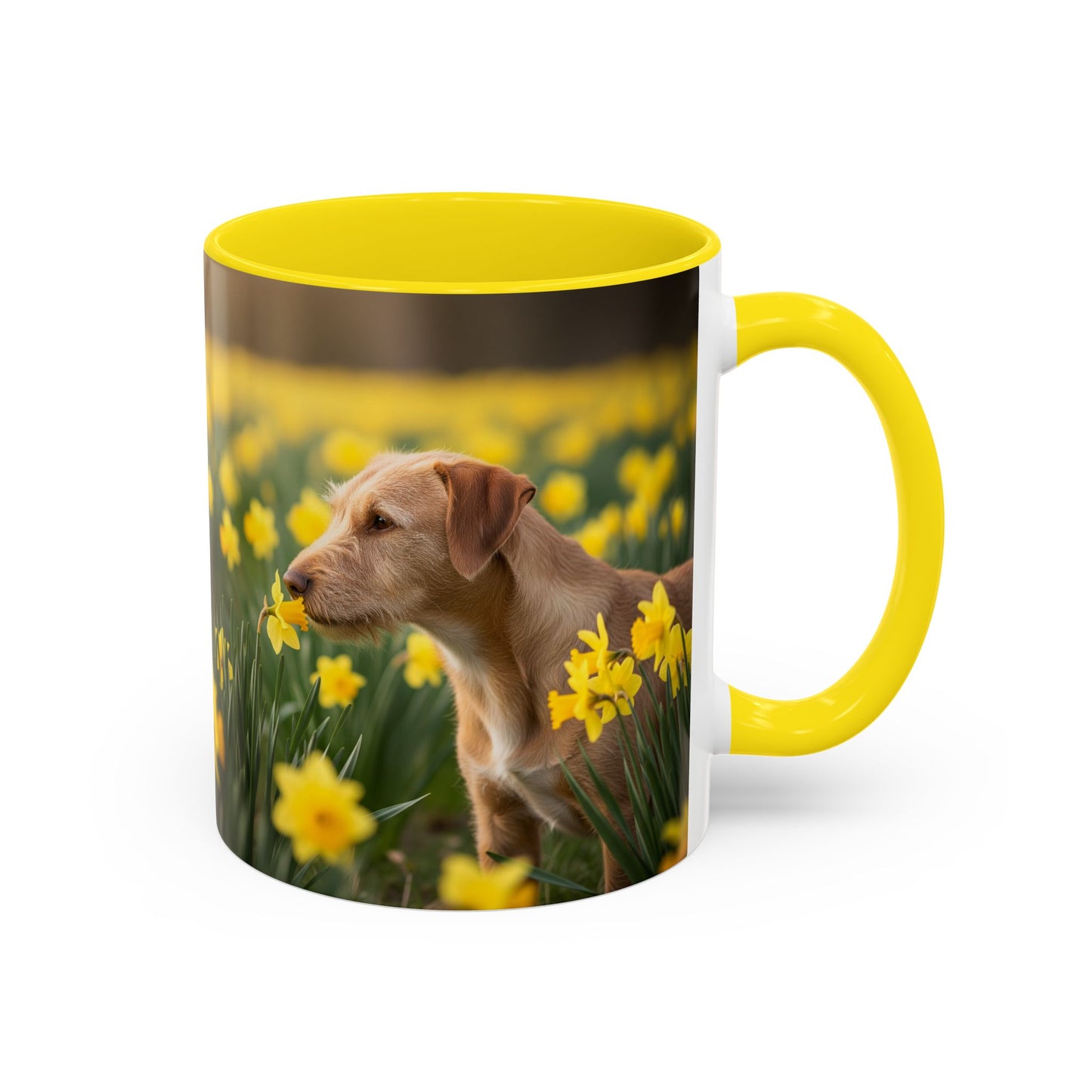 Mug à café avec motif Podengo Pequeno portugais - Cadeau idéal pour les amoureux des chiens