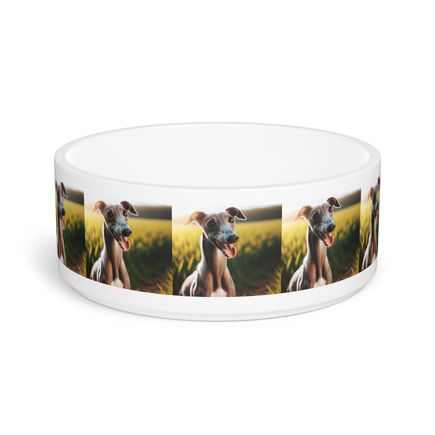 Greyhound Pet Bowl