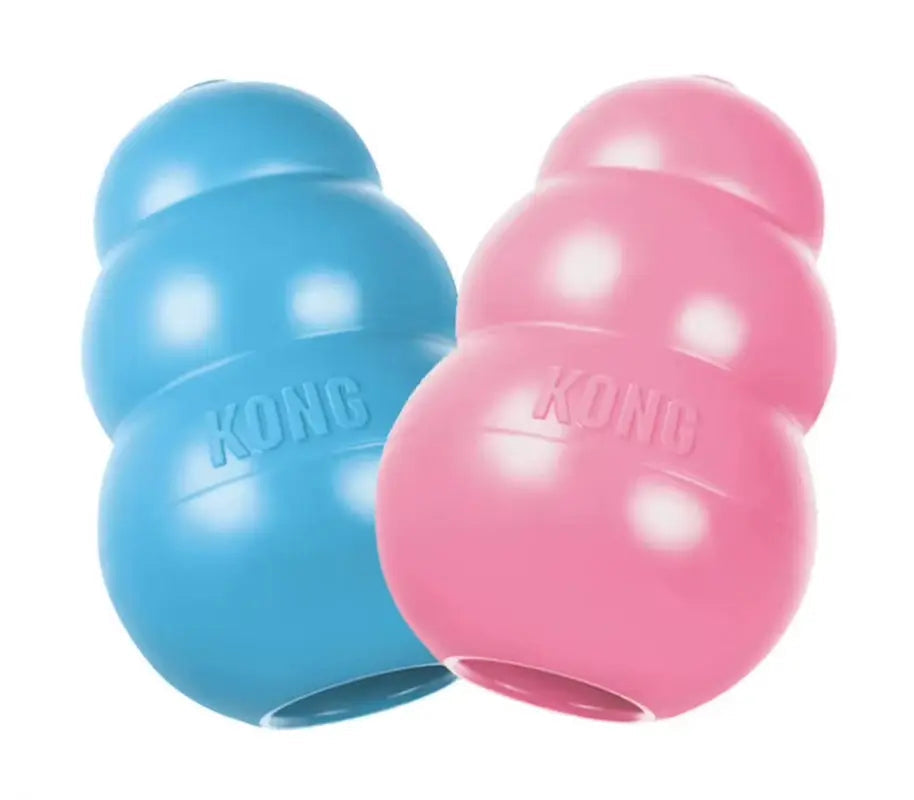 Jouet à mâcher en caoutchouc naturel pour chiot, idéal pour la dentition, avec friandises au choix (tailles XS à L).