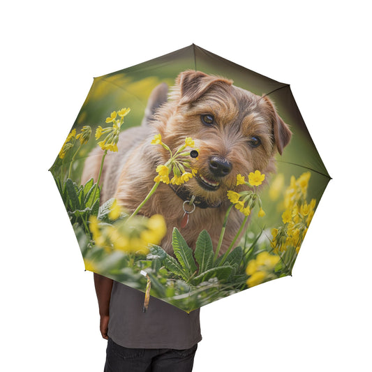 Norfolk Terrier Semi-Automatic Foldable Umbrella