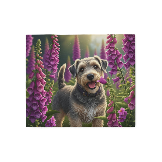 Dandie Dinmont Terrier Sweatshirt Blanket