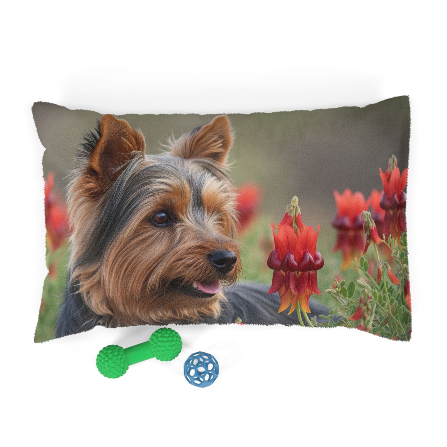 Silky Terrier Pet Bed