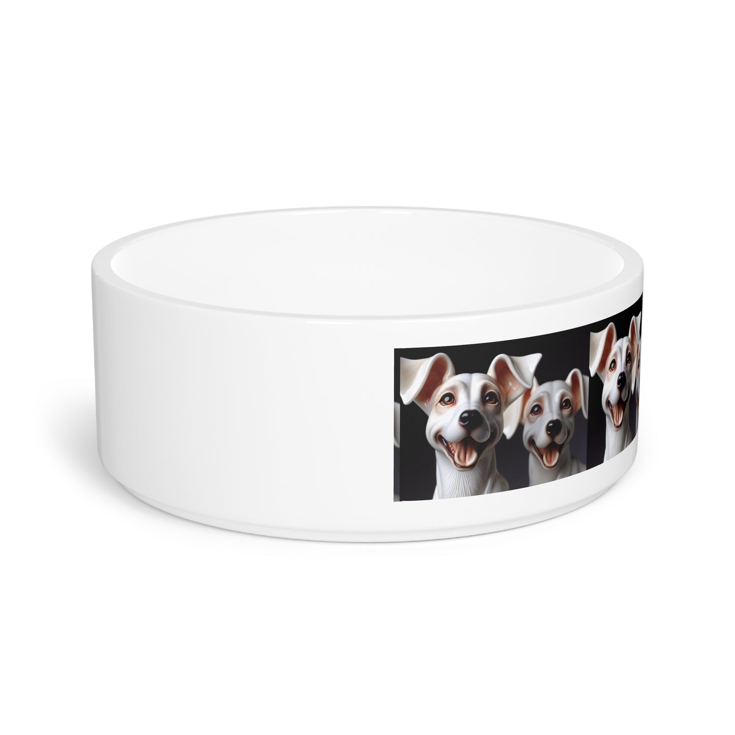 Porcelaine Pet Bowl
