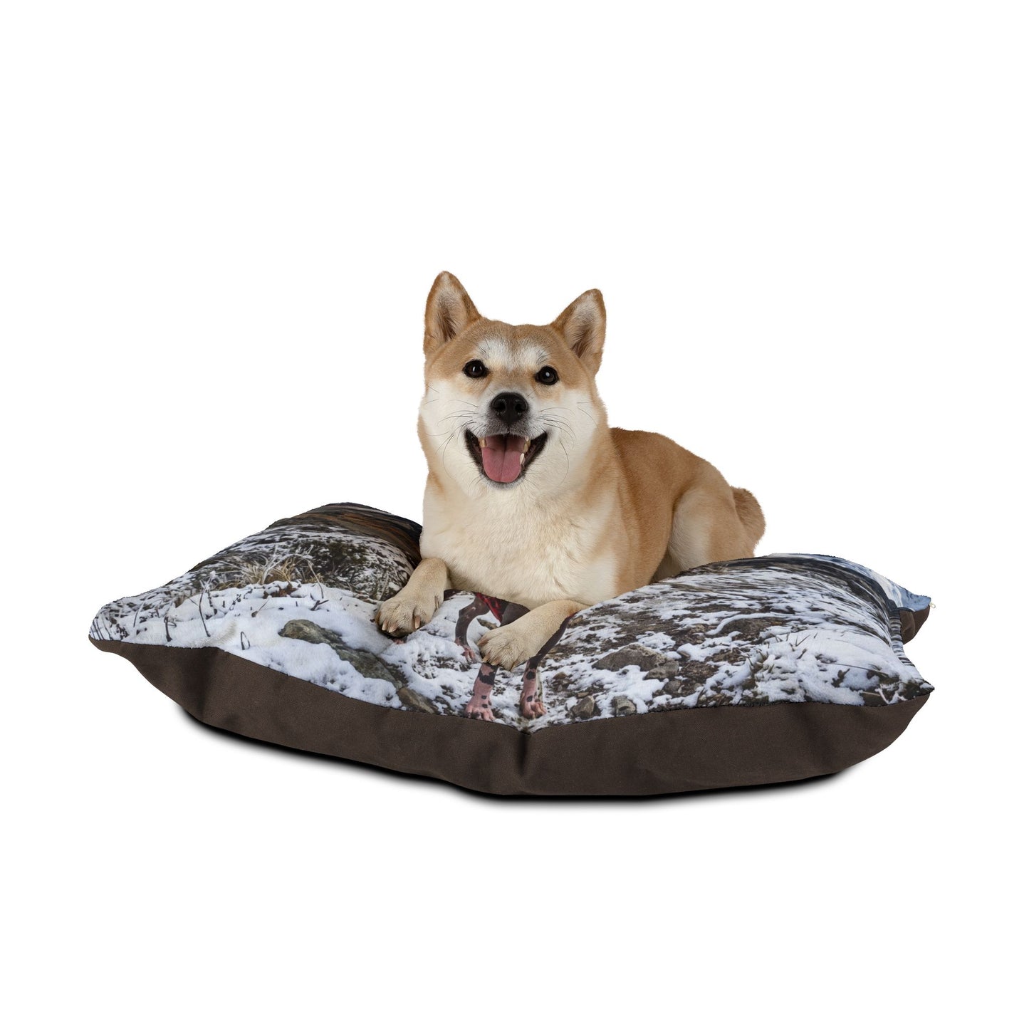 Peruvian Hairless Dog Pet Bed
