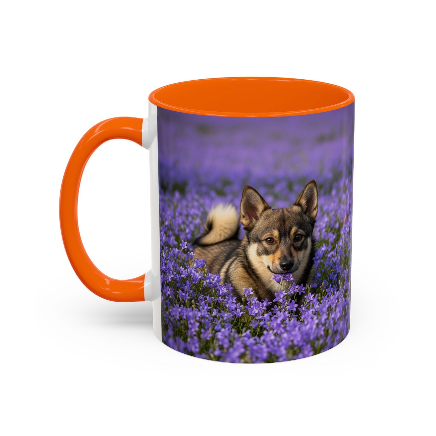 Swedish Vallhund Accent Coffee Mug - Perfect Gift for Dog Lovers