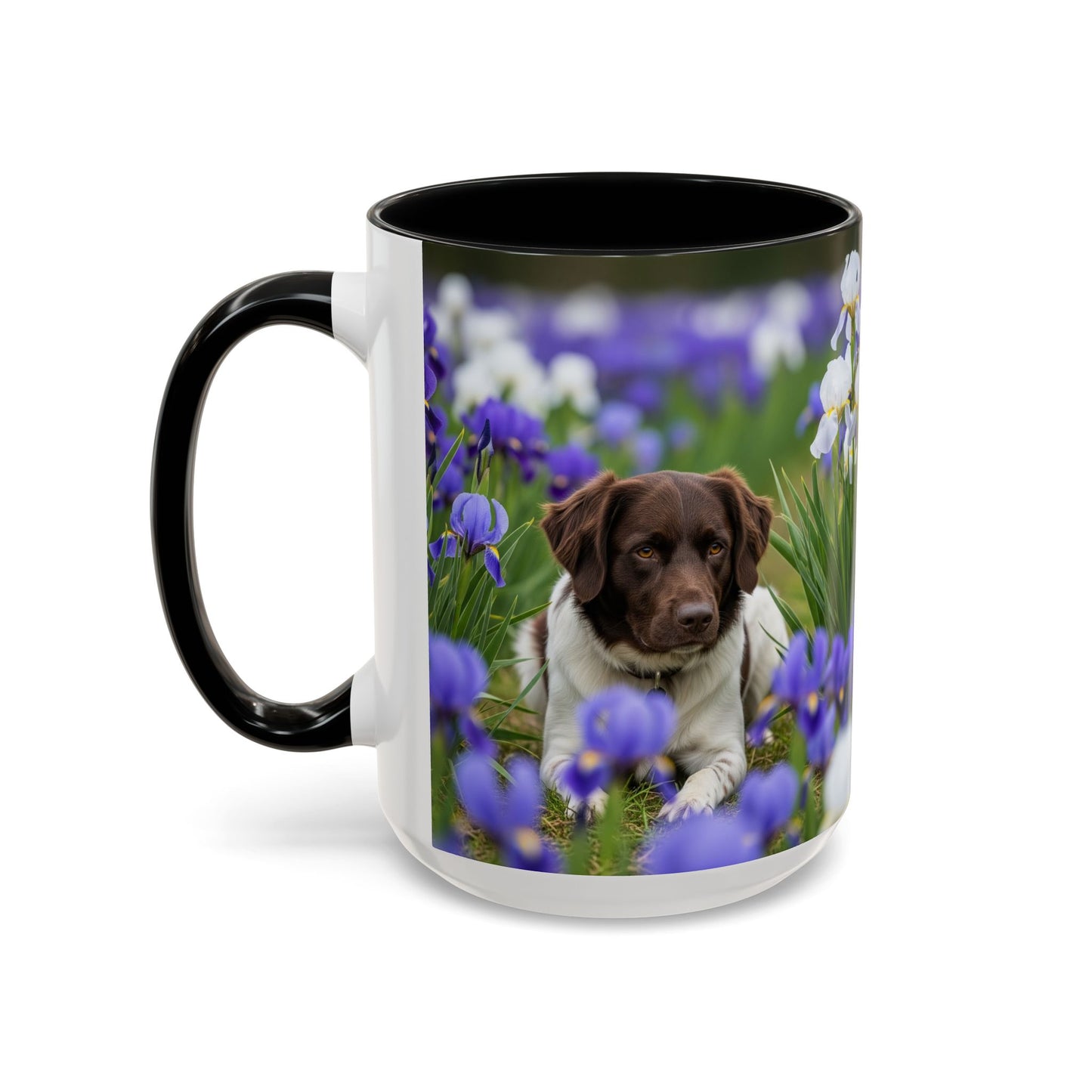 Mug Stabyhouns Accent - Cadeau idéal pour les amoureux des chiens