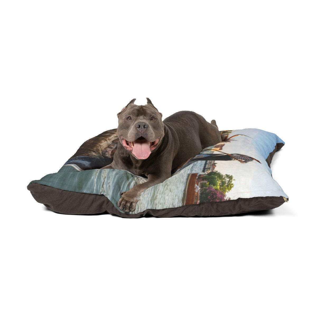 Spinone Italiano Pet Bed