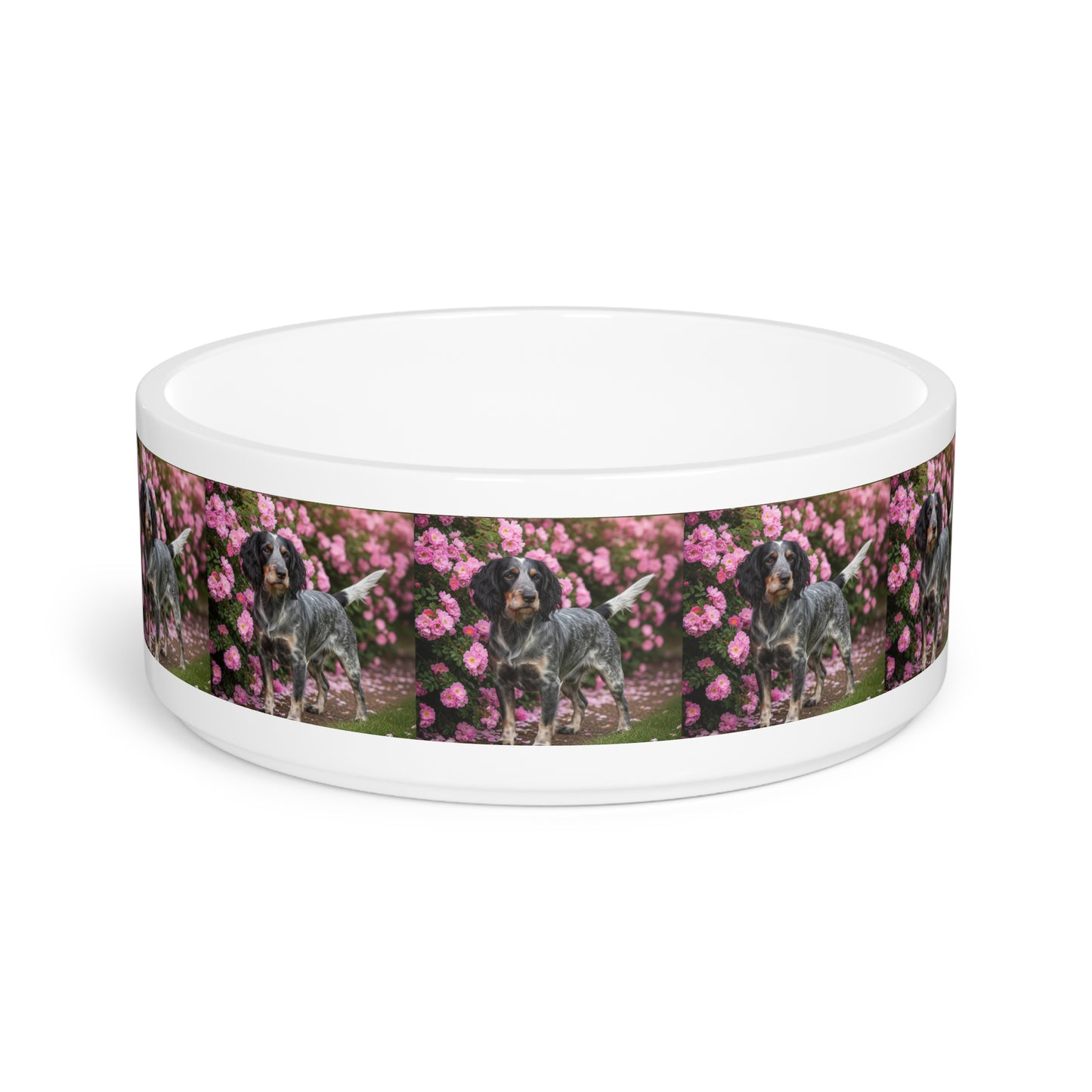 Blue Picardy Spaniel Pet Bowl