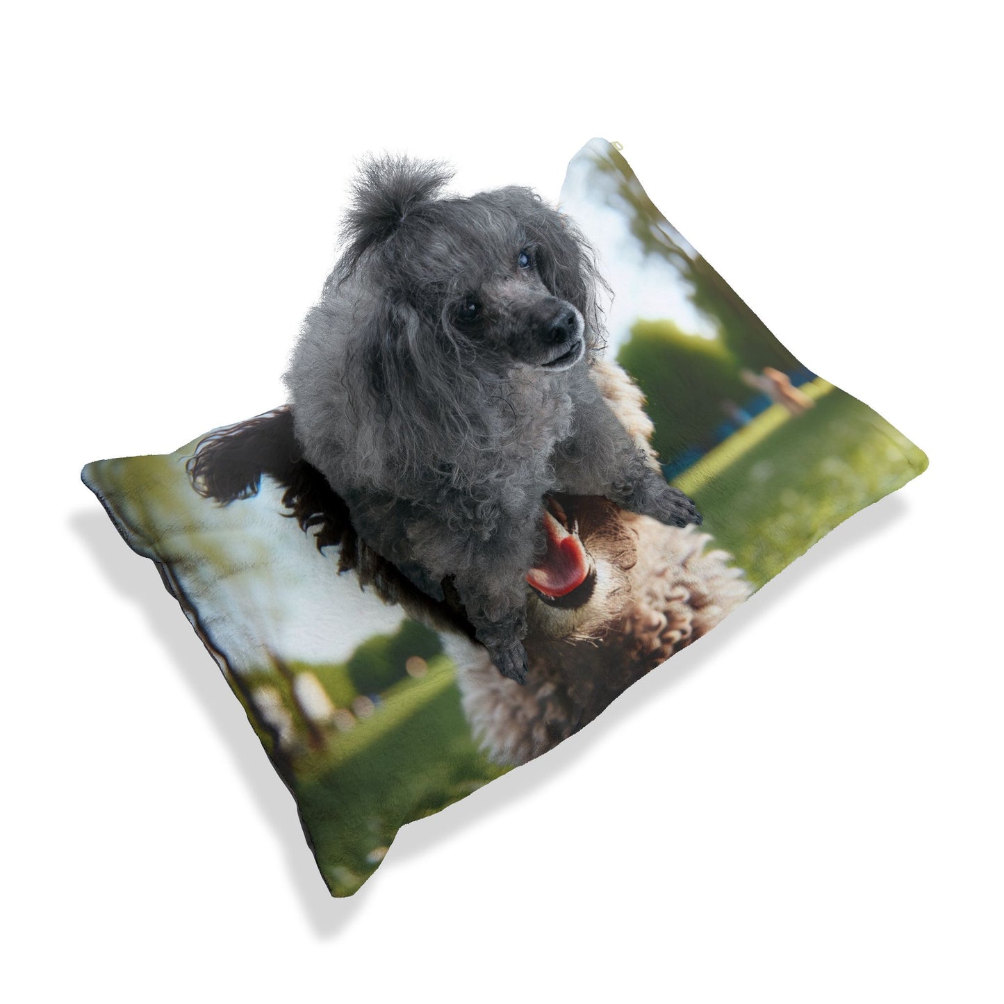 Pumi Pet Bed