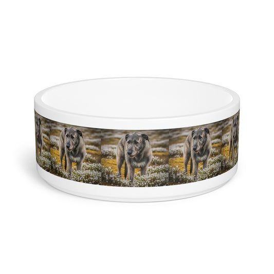 Irish Wolfhound Pet Bowl