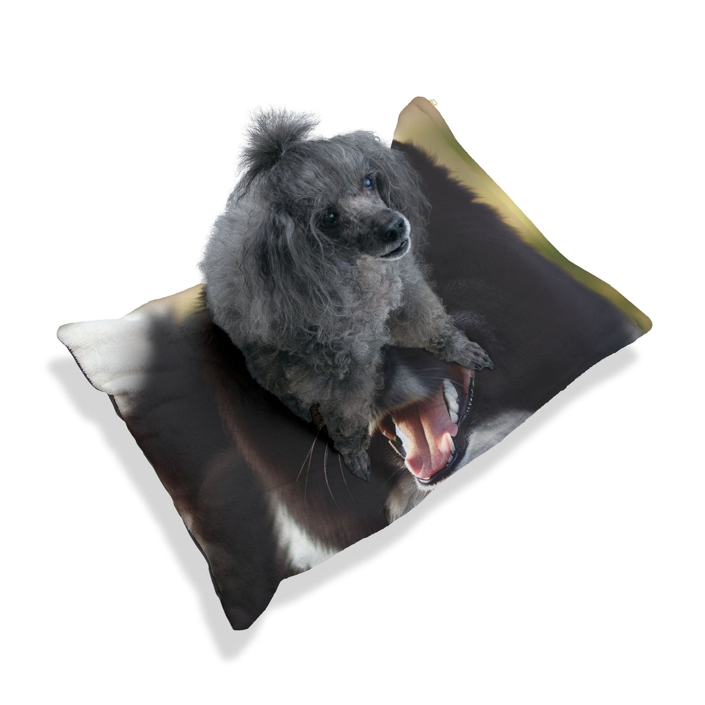 Karelian Bear Dog Pet Bed