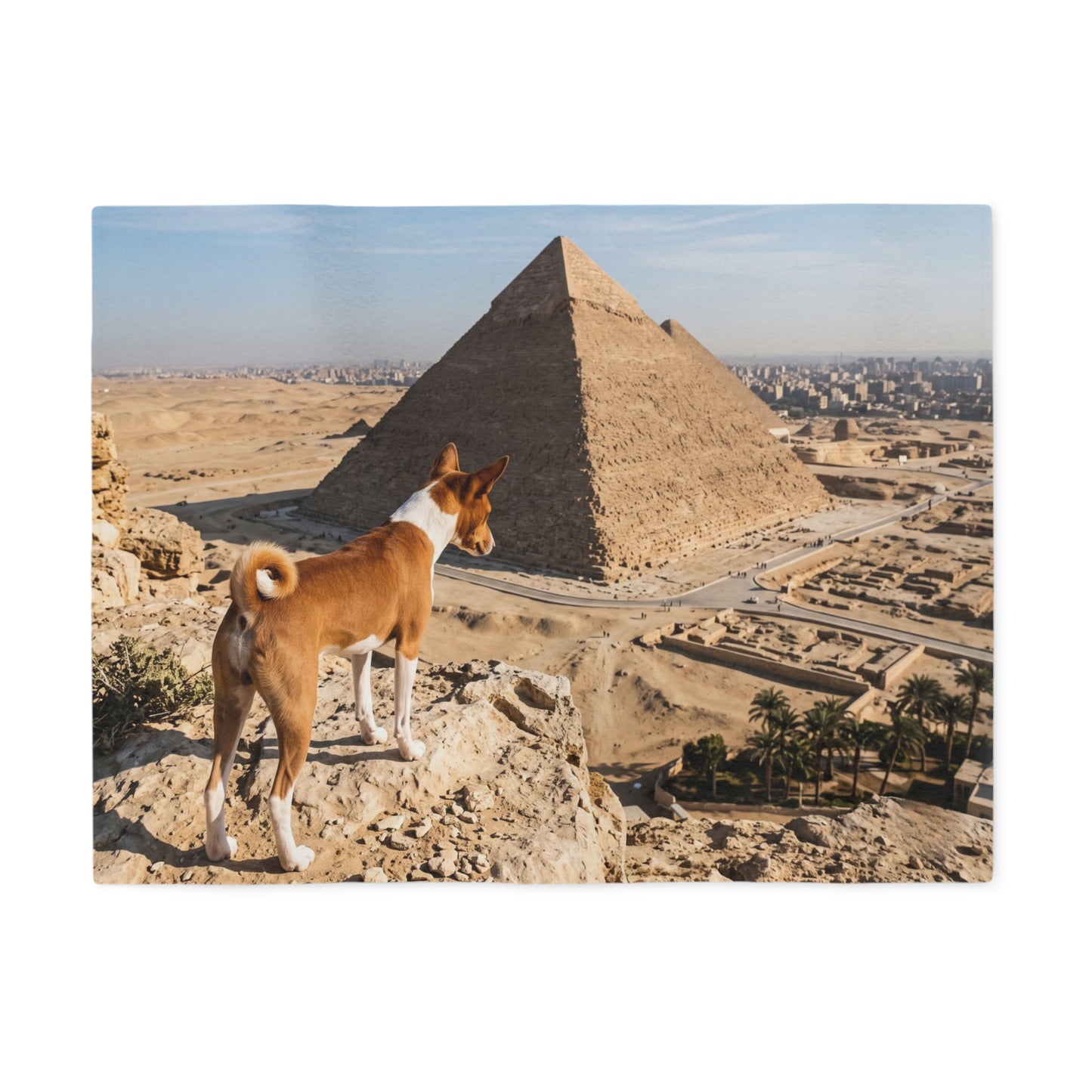 Basenji Blanket