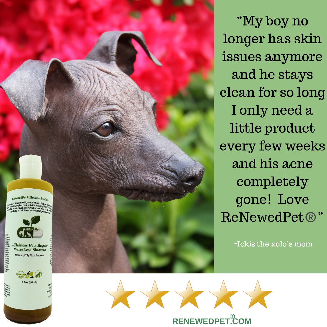 Acondicionador regular para mascotas sin pelo 4-HAIRLESS