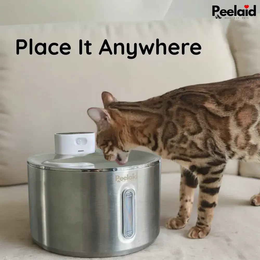 Fontaine sans fil Peelaid™ SST
